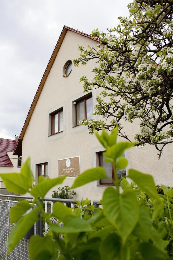 Ubytování U Vojtěšky Pasohlávky Exteriér fotografie